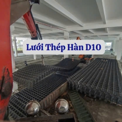 Lưới thép hàn D10